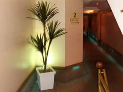 Hotel Fenix (adults Only)